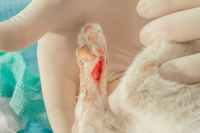 傷口滲液反覆，照護時間拉長