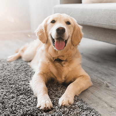 全馨傷口共照網-最多人使用的傷口與疤痕諮詢平台