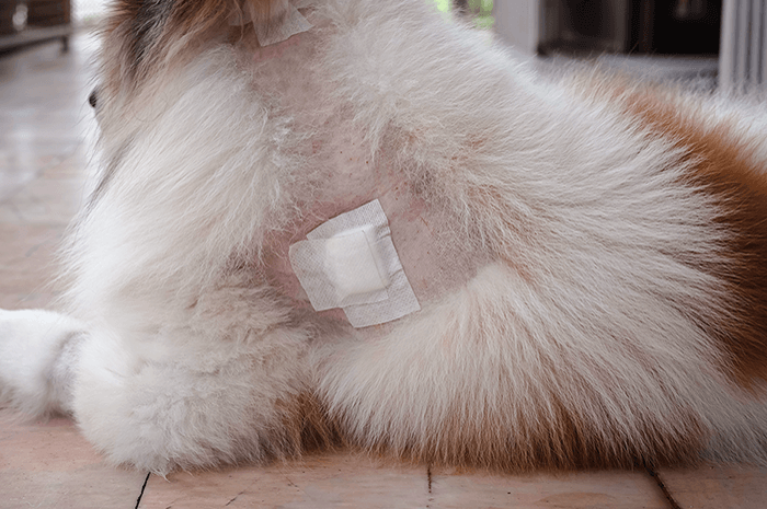 使用感受溫和、不刺激