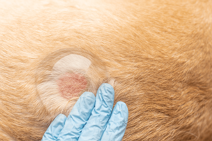 降低外在環境影響風險