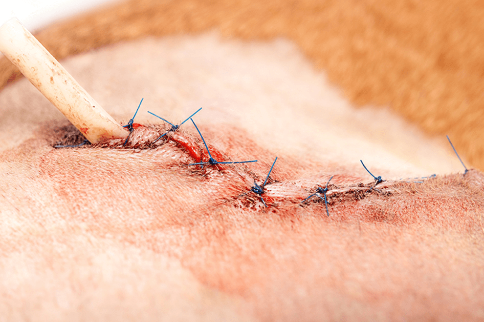 Grace｜長期照護後狀況穩定