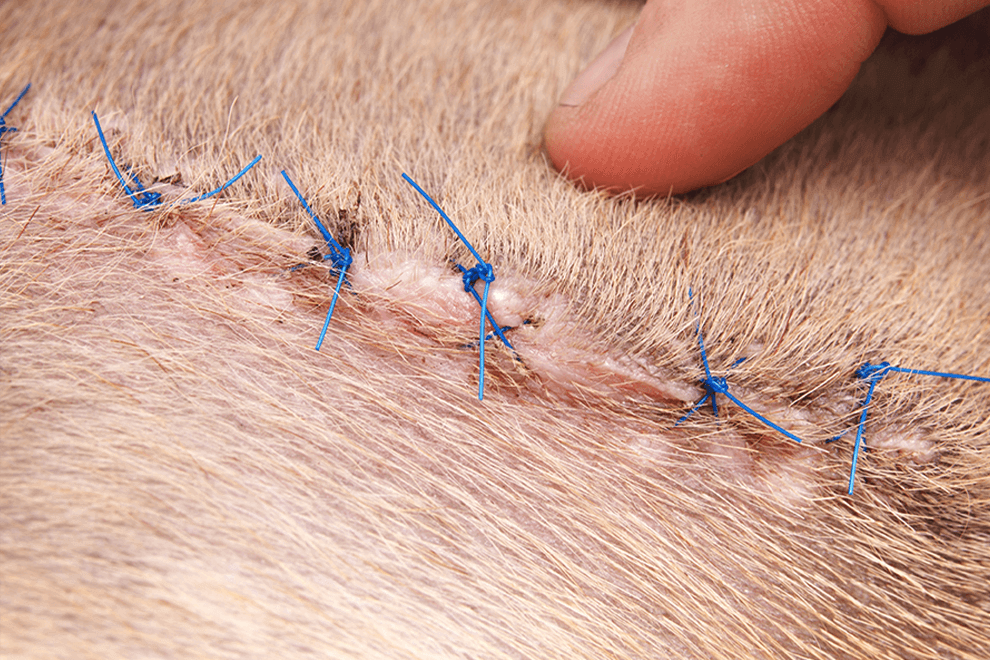 阿布｜長期照護後狀況穩定