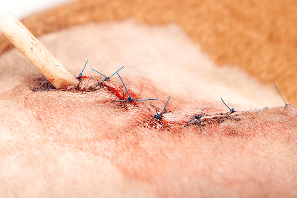 阿布｜長期照護後狀況穩定