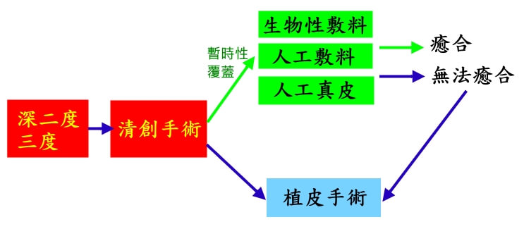 傷口重建選擇 傷口重建選擇